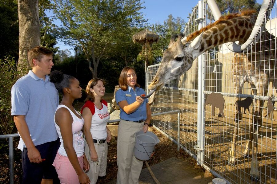 San Diego Zoo: 1-Day Admission Ticket - Discovery Outpost and the Galápagos tortoises
