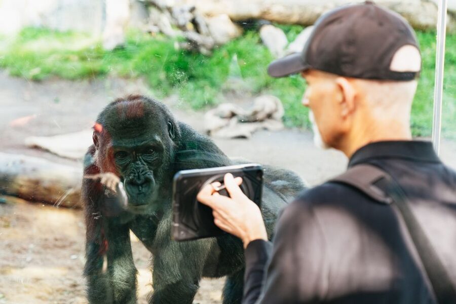 San Diego Zoo: 1-Day Admission Ticket - Elephant Odyssey combines animals with a museum feel