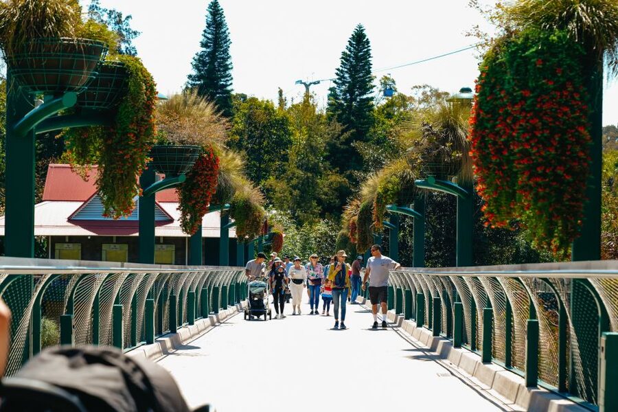 San Diego Zoo: 1-Day Admission Ticket - Ride Skyfari when your feet need help