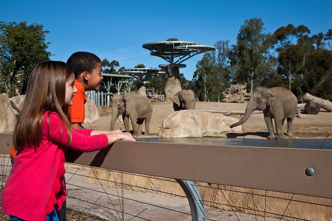 San Diego Zoo 1-Day Pass: Any Day Ticket - Start with the Guided Bus Tour