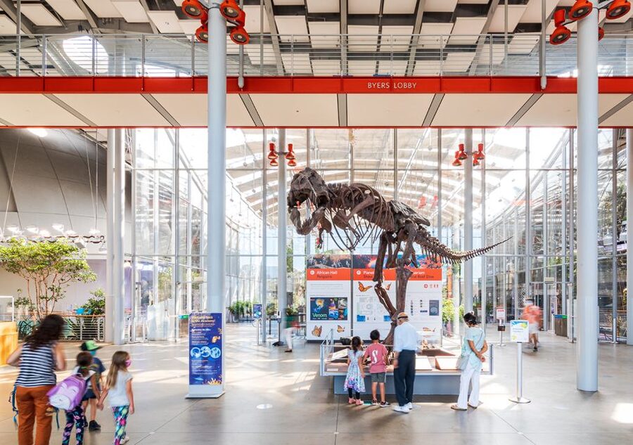 San Francisco: California Academy of Sciences Entry Ticket - Start with the aquarium and its living coral reef