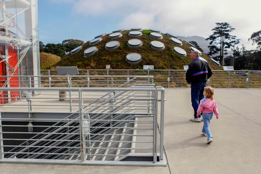 San Francisco: California Academy of Sciences Entry Ticket - See specimens and try hands-on activities