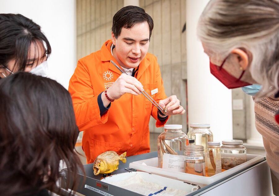 San Francisco: California Academy of Sciences Entry Ticket - How much value do you get for $49?