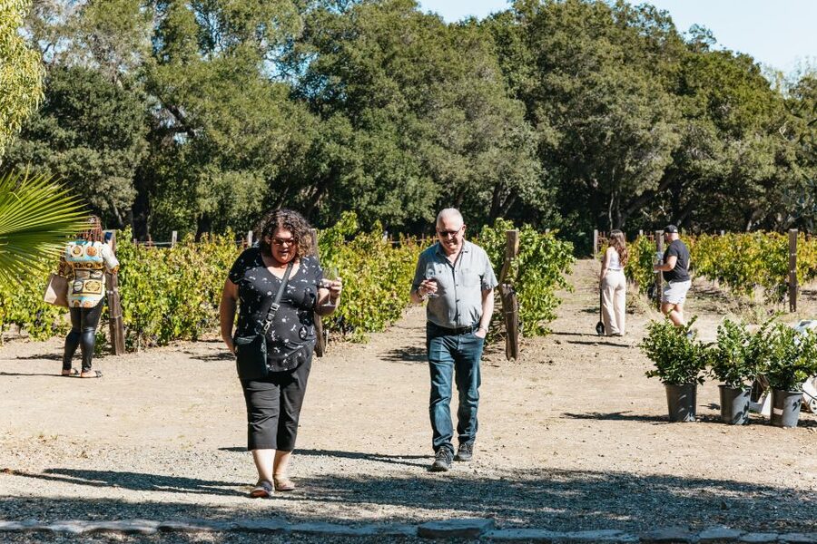 San Francisco: Half-Day Wine Country Excursion with Tastings - Who should book this outing?
