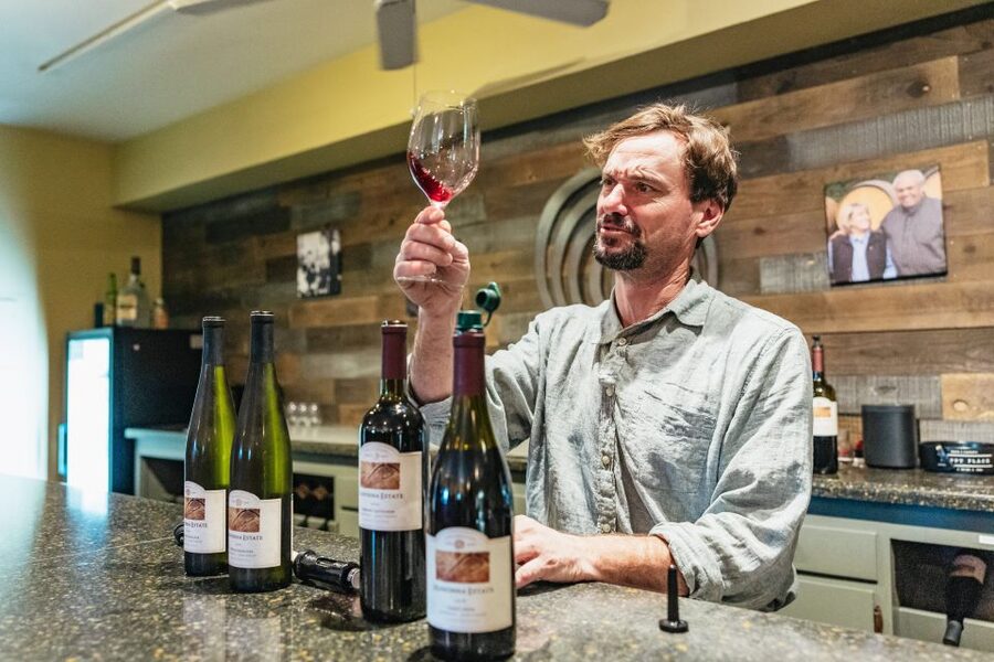 San Francisco: Half-Day Wine Country Excursion with Tastings - Why this half-day trip works so well