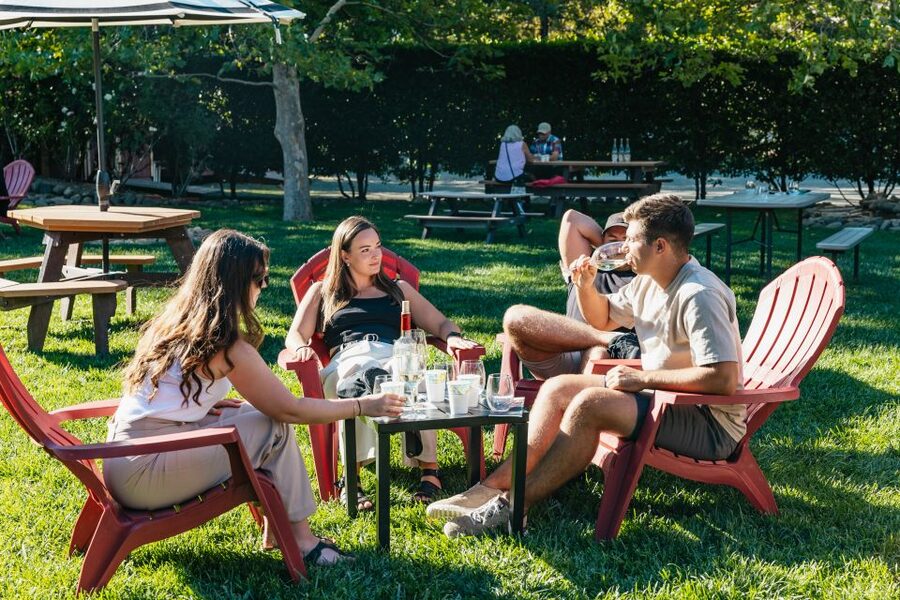 San Francisco: Half-Day Wine Country Excursion with Tastings - The group size and social side