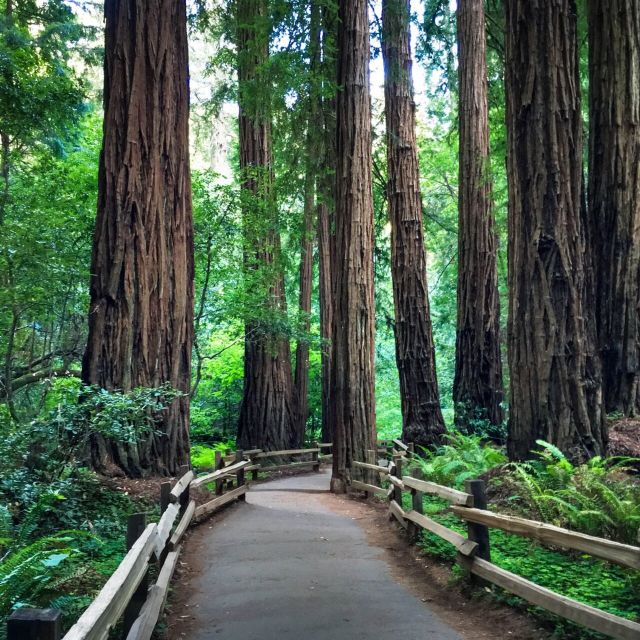 San Francisco: Hop-On Hop-Off Sightseeing Tour with 17 Stops - Haight-Ashbury and Golden Gate Park