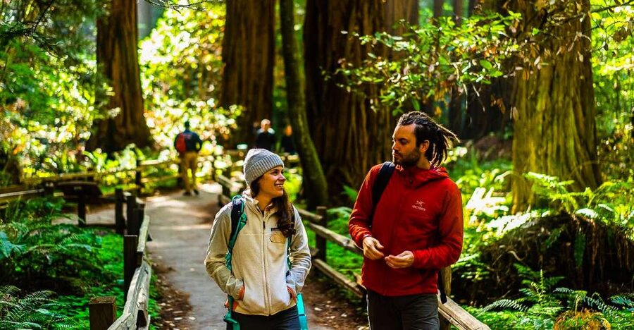 San Francisco: Muir Woods and Sausalito Half-Day Trip - Ninety minutes among the redwoods