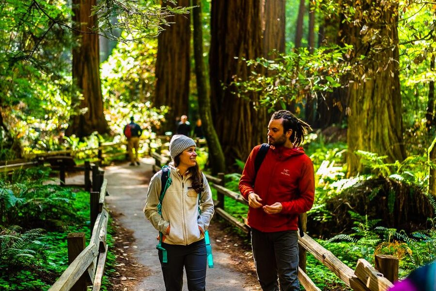 San Francisco: Muir Woods and Sausalito Half-Day Trip - Guides, group feel, and the value of transport
