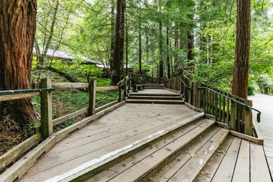 San Francisco: Muir Woods and Sausalito Small-Group Tour - The small details that shape the day
