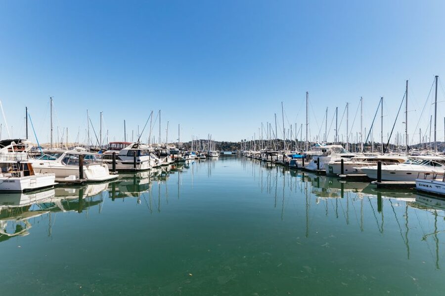 San Francisco: Muir Woods and Sausalito Small-Group Tour - Why Muir Woods makes this half-day worthwhile