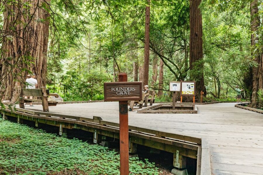 San Francisco: Muir Woods and Sausalito Small-Group Tour - How the $99 price works out