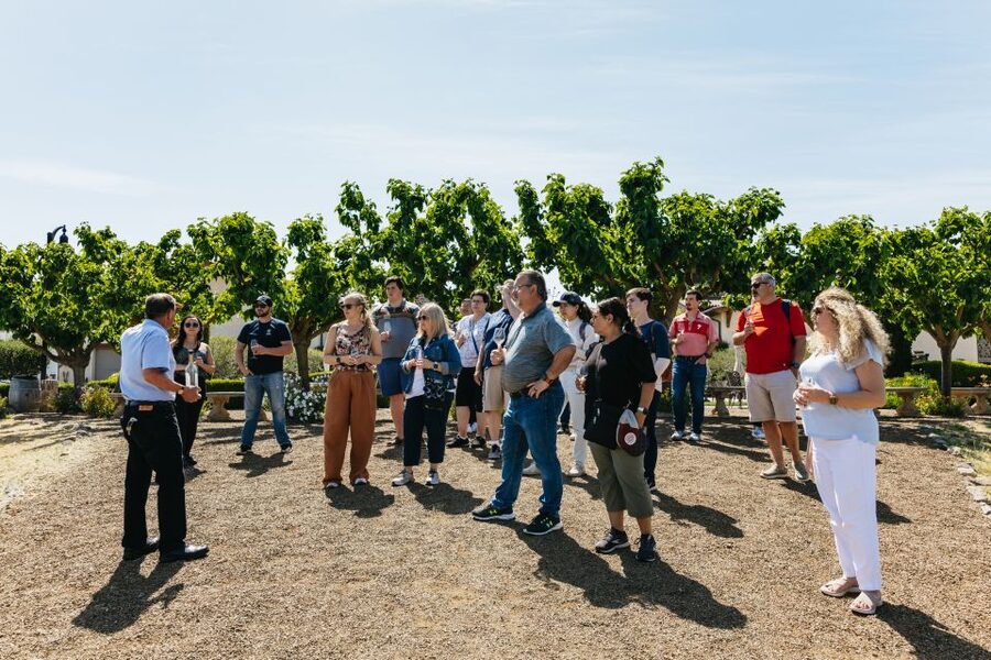 San Francisco: Muir Woods, Napa & Sonoma Valley Wine Tour - Why this San Francisco day trip works