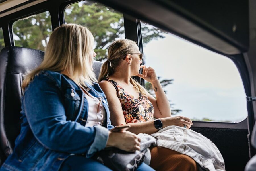 San Francisco: Muir Woods, Napa & Sonoma Valley Wine Tour - The drive into wine country