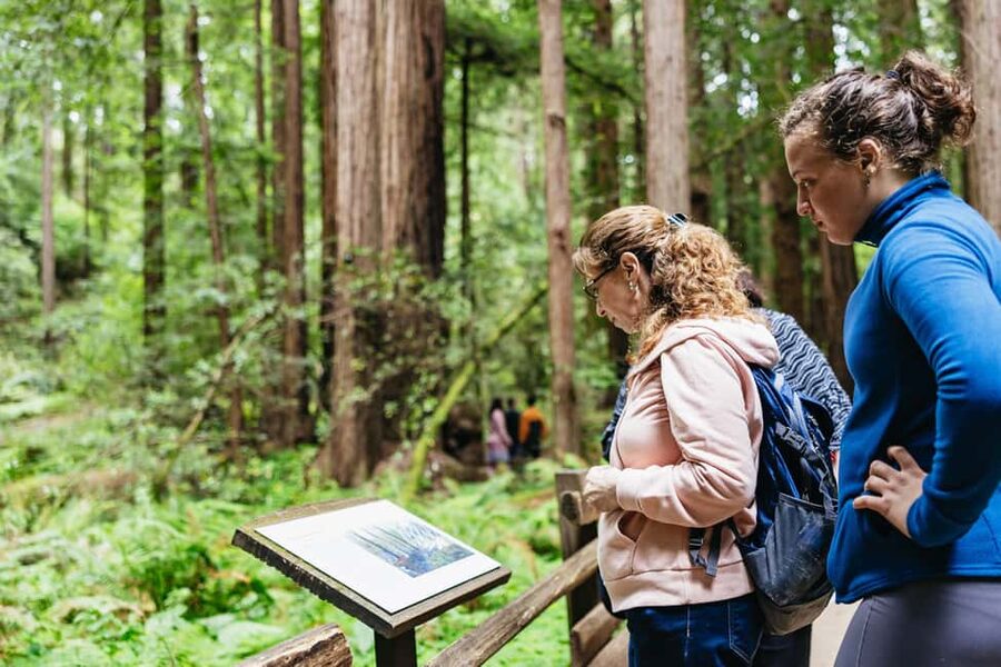 San Francisco: Muir Woods & Sausalito Tour with Ferry Option - What 90 minutes in the redwoods really buys you