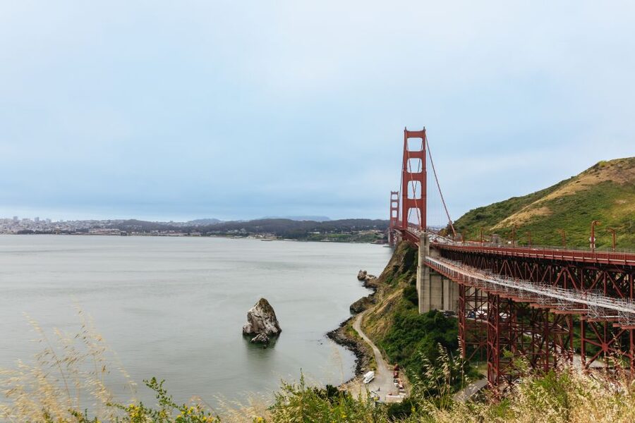 San Francisco: Muir Woods & Sausalito Tour with Ferry Option - How the $91 price holds up
