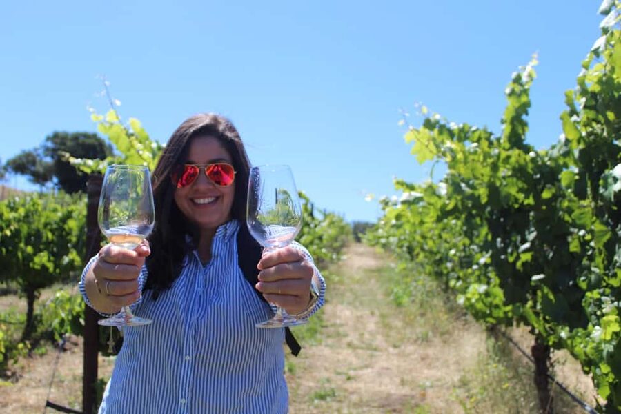 San Francisco: Napa and Sonoma Valley Wine Tour - Key points to know before booking
