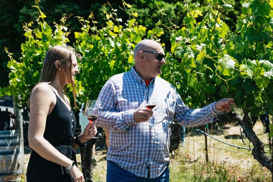 San Francisco: Napa and Sonoma Valley Wine Tour - My verdict on the Gray Line wine tour