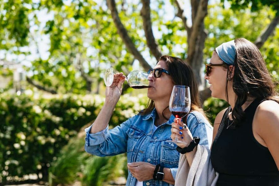 San Francisco: Napa and Sonoma Valley Wine Tour - Why this tour works for a first wine-country visit