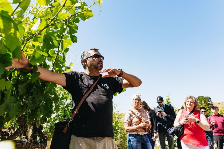San Francisco: Napa and Sonoma Valley Wine Tour - Sonoma Plaza gives you control over lunch