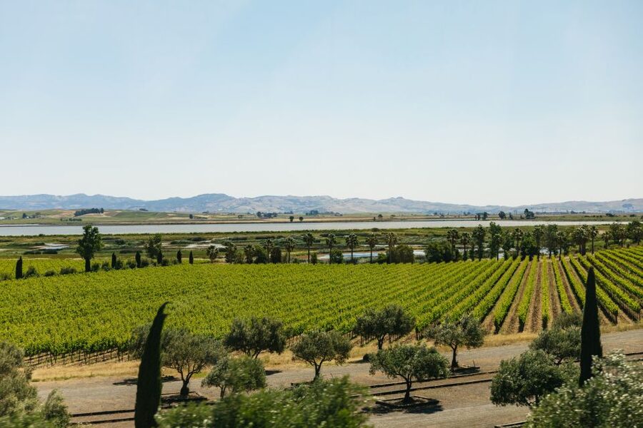 San Francisco: Napa and Sonoma Valley Wine Tour - The long ride back to San Francisco
