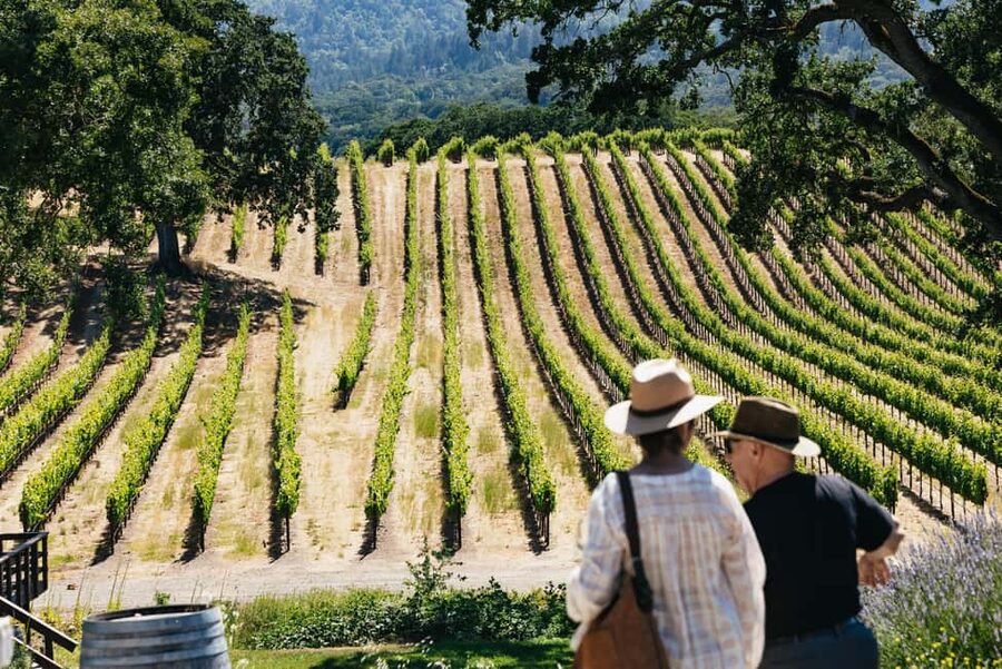 San Francisco: Napa and Sonoma Valley Wine Tour - The Golden Gate Bridge photo stop
