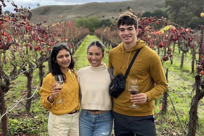 San Francisco Super Saver: Muir Woods & Wine Country w/ optional Gourmet Lunch - Mayo Family Winery and the pleasure of small-batch wines