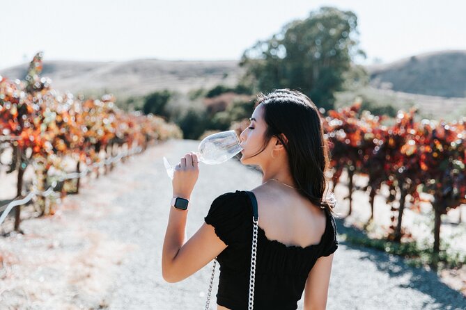 San Francisco Super Saver: Muir Woods & Wine Country w/ optional Gourmet Lunch - The return across the bridge and a final photograph
