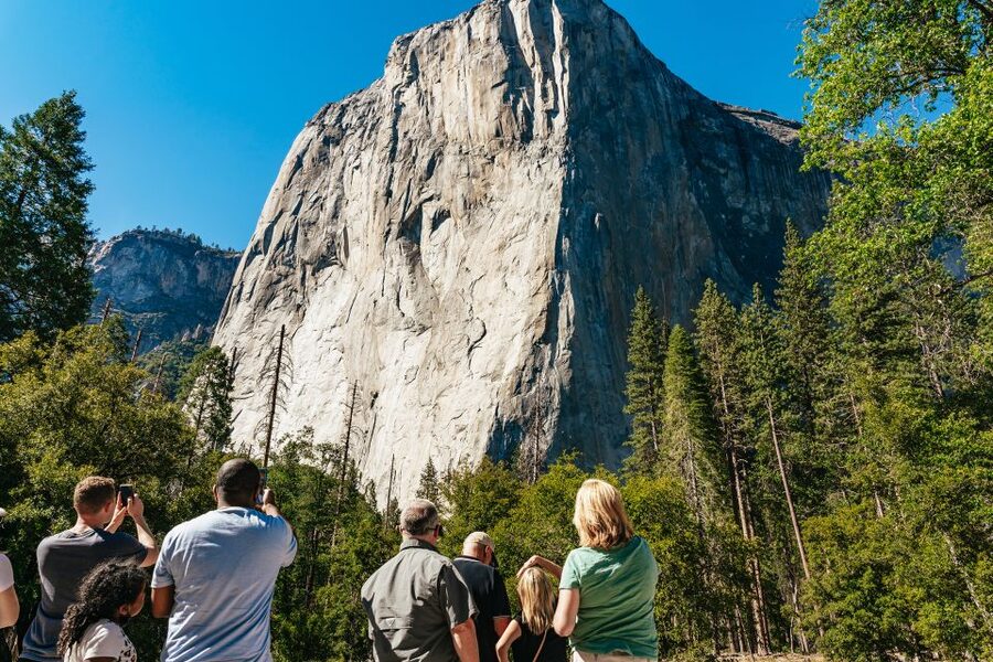 San Francisco: Yosemite National Park & Giant Sequoias Hike - Half Dome, Bridalveil Fall, and Sentinel Bridge
