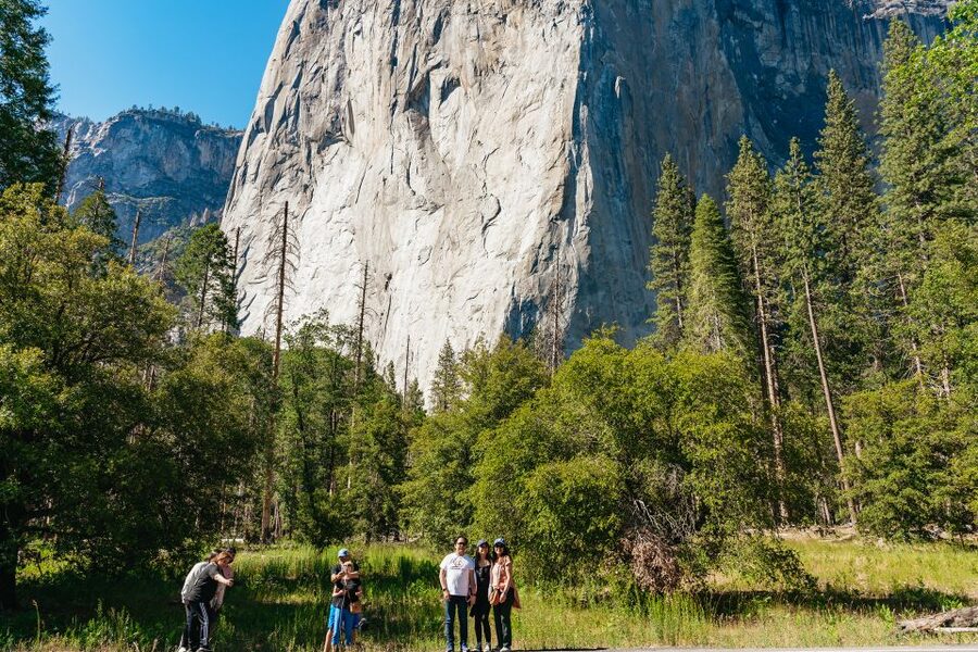 San Francisco: Yosemite National Park & Giant Sequoias Hike - Two hours to make your own Yosemite Valley plan