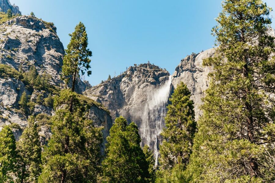 San Francisco: Yosemite National Park & Giant Sequoias Hike - El Capitan and Valley View on the way out
