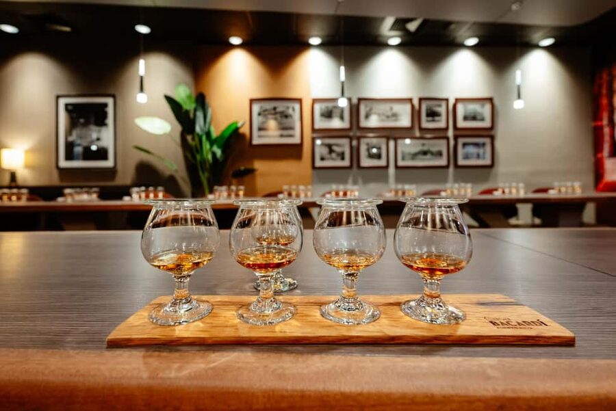 San Juan: Casa Bacardi Distillery Tour - A welcome cocktail at the Bacardi pavilion
