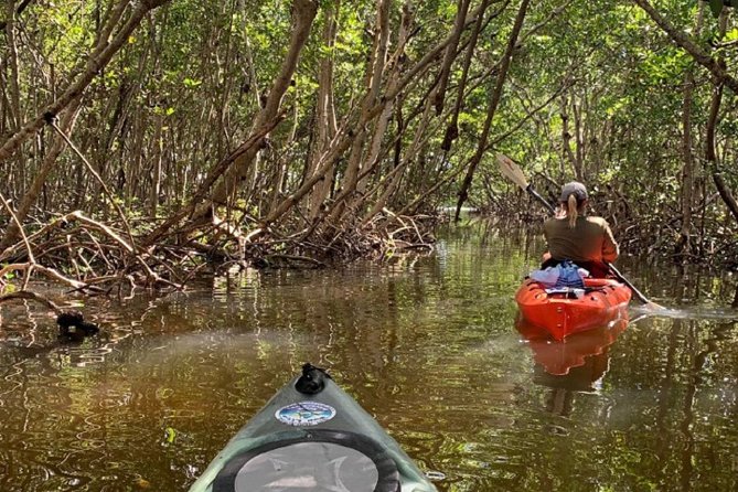 Sarasota Guided Mangrove Tunnel Kayak Tour - Entering the South Lido mangrove tunnels