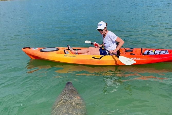 Sarasota Guided Mangrove Tunnel Kayak Tour - Getting comfortable before the mangrove tunnels