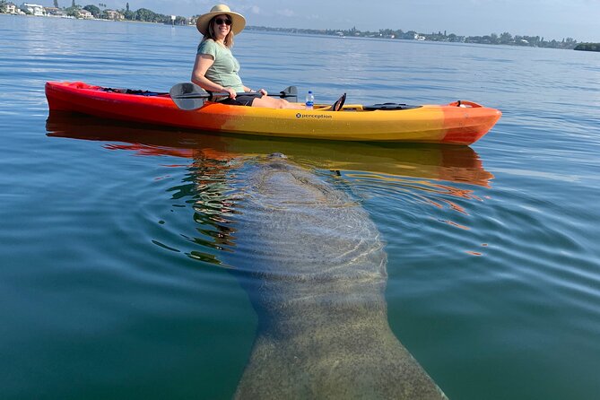 Sarasota Mangrove Tunnel Guided Kayak Adventure - Key points to know before you book