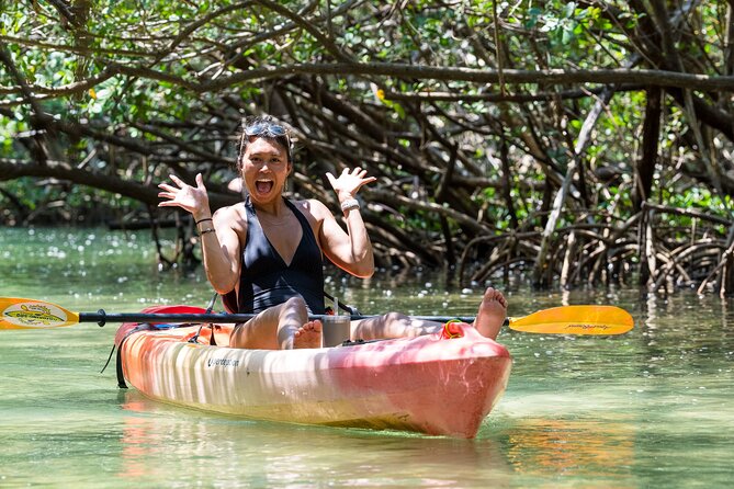 Sarasota Mangrove Tunnel Guided Kayak Adventure - Why the Lido Key mangrove tunnels are the main event