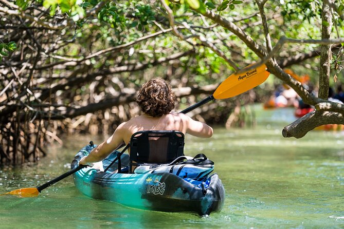 Sarasota Mangrove Tunnel Guided Kayak Adventure - Inside the mangrove passages