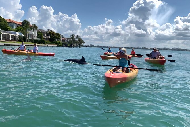 Sarasota Mangrove Tunnel Guided Kayak Adventure - What you get for $65