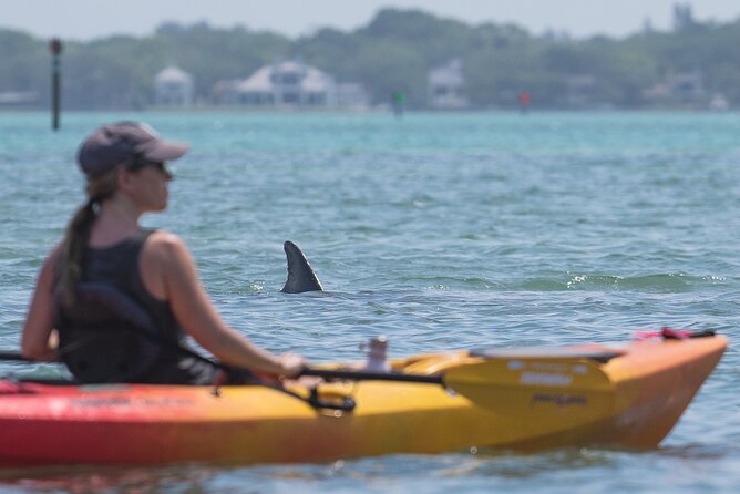 Sarasota Mangrove Tunnel Guided Kayak Adventure - Who will enjoy this Sarasota kayak trip