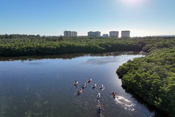Sarasota Mangrove Tunnel Guided Kayak Adventure - The launch at Ted Sperling Nature Park