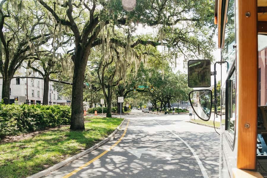 Savannah: Old Savannah Tours Historic Overview - Who should book this Savannah trolley tour?
