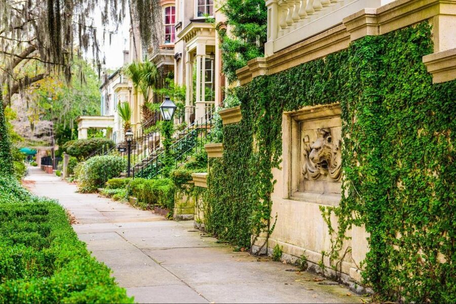Savannah: Riverboat Cruise & City Tour Combo - Why seeing Savannah by land and water works