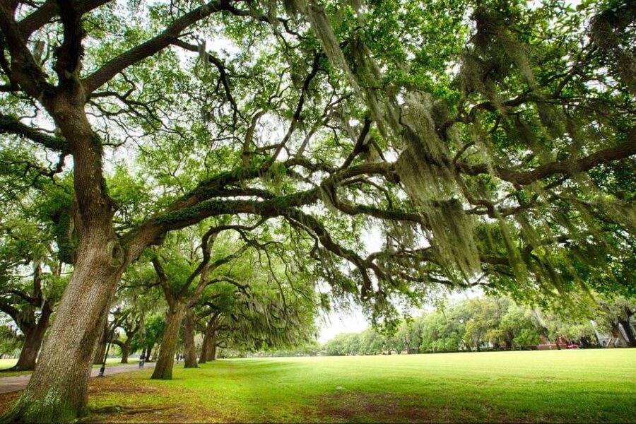Savannah: Riverboat Cruise & City Tour Combo - Is $79 a fair price?