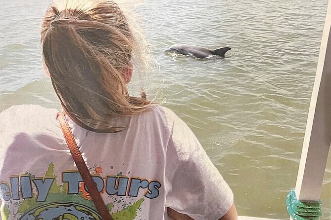 Savannah to Tybee Island with Dolphin Cruise - Why Tybee Island makes a useful Savannah day trip