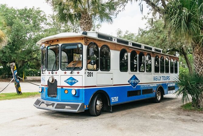 Savannah to Tybee Island with Dolphin Cruise - The dolphin cruise through Tybee’s waterways