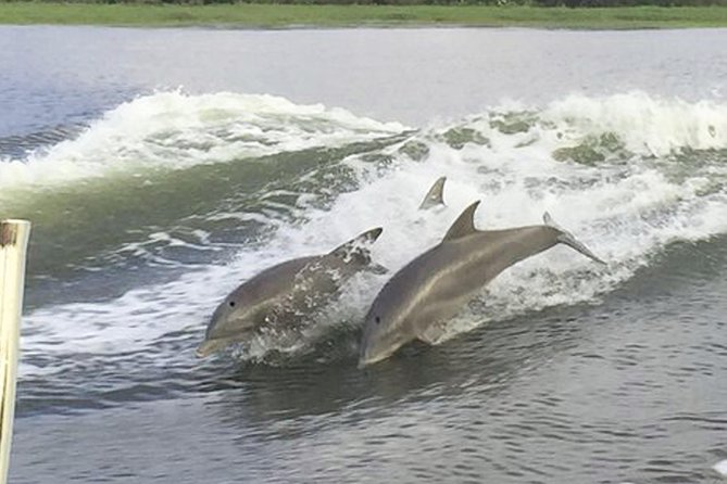 Savannah to Tybee Island with Dolphin Cruise - Tybee Island Lighthouse, beach, and free time