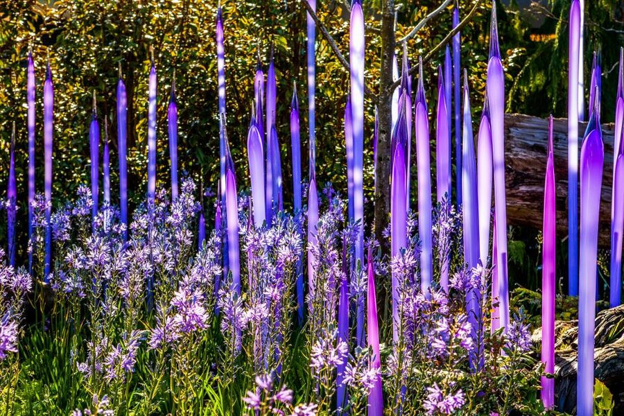 Seattle: Chihuly Garden and Glass Entry Ticket - Key Points at a Glance