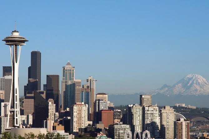 Seattle City and Snoqualmie Falls Half-Day Guided Tour - Seattle’s stadium district from the minivan