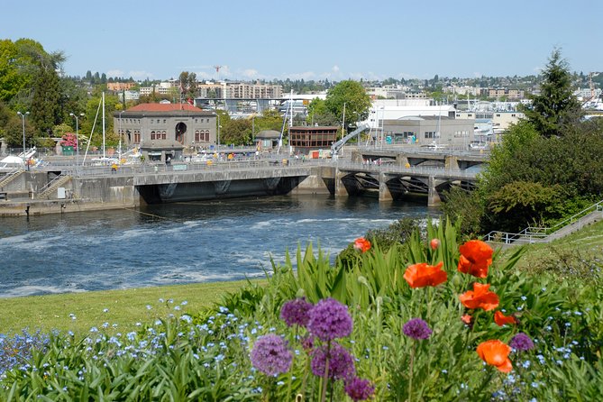 Seattle City Highlights Tour - A useful first look at Seattle in three hours