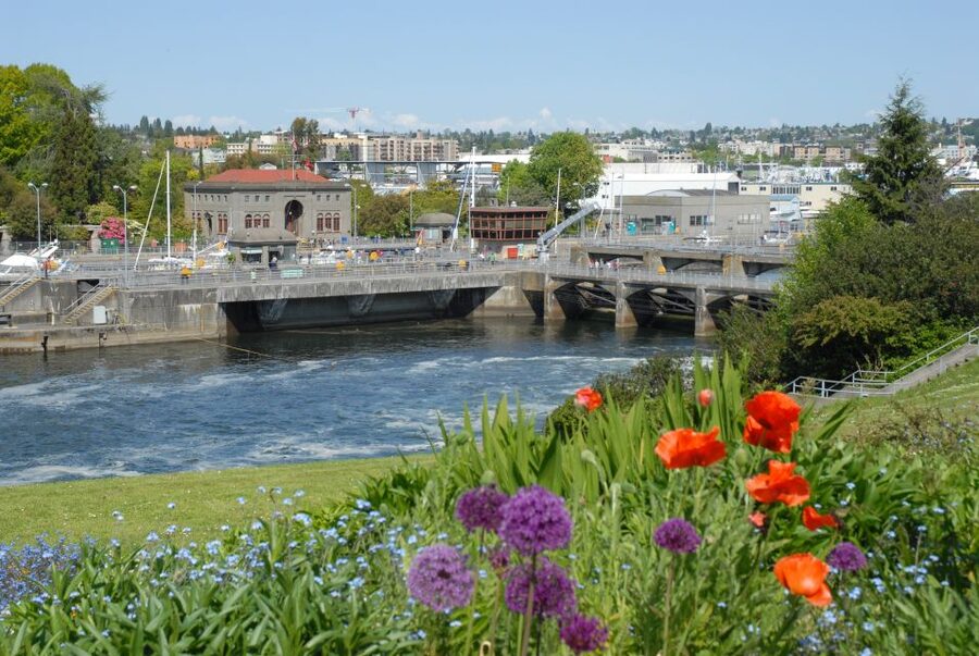 Seattle: City Highlights Tour - Discovery Park, Magnolia Bluff, and the best photo views